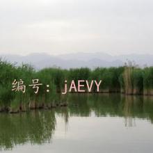 ϲŭ